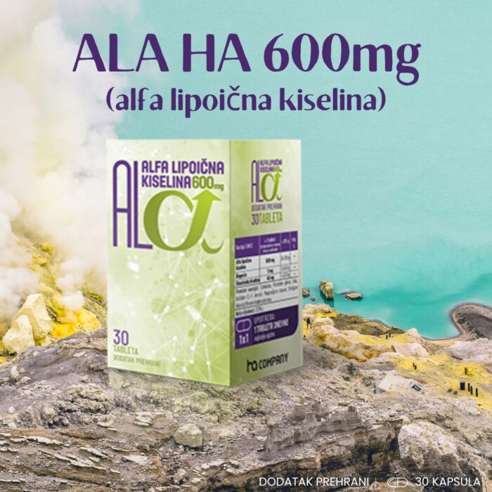 HA Company square premium (4)