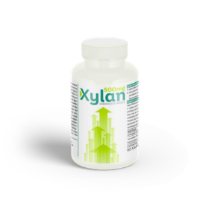 Xylan MGN-3 Arabinoksilan 500mg